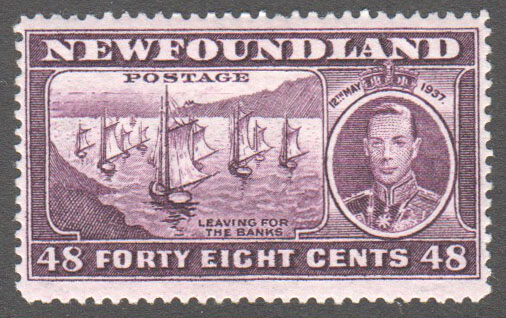 Newfoundland Scott 243 Mint F (P13.7) - Click Image to Close